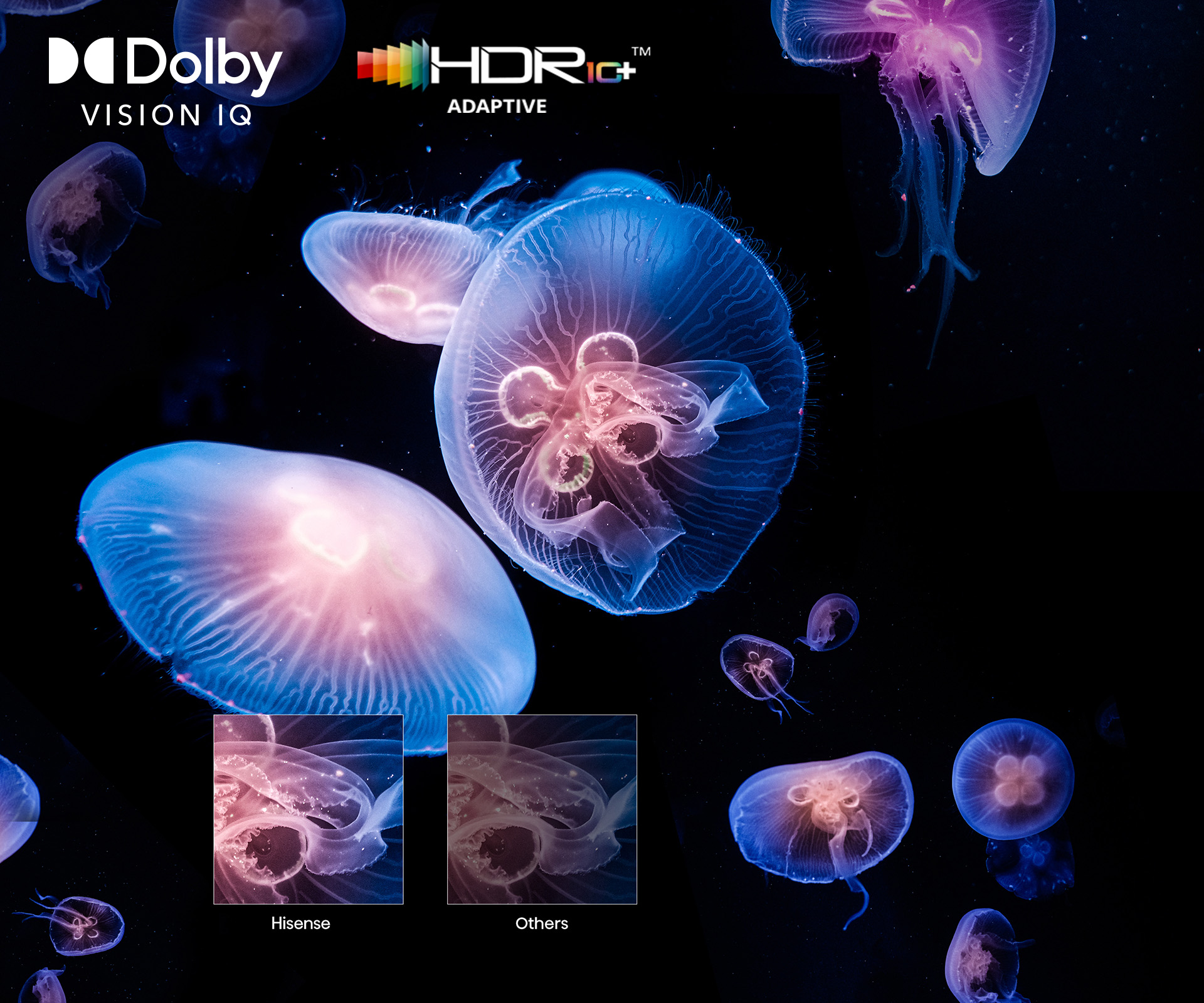 100″ 4K QLED 144Hz Smart TV Series Q7NAU 100″ 4K QLED 144Hz Smart TV Series Q7NAU