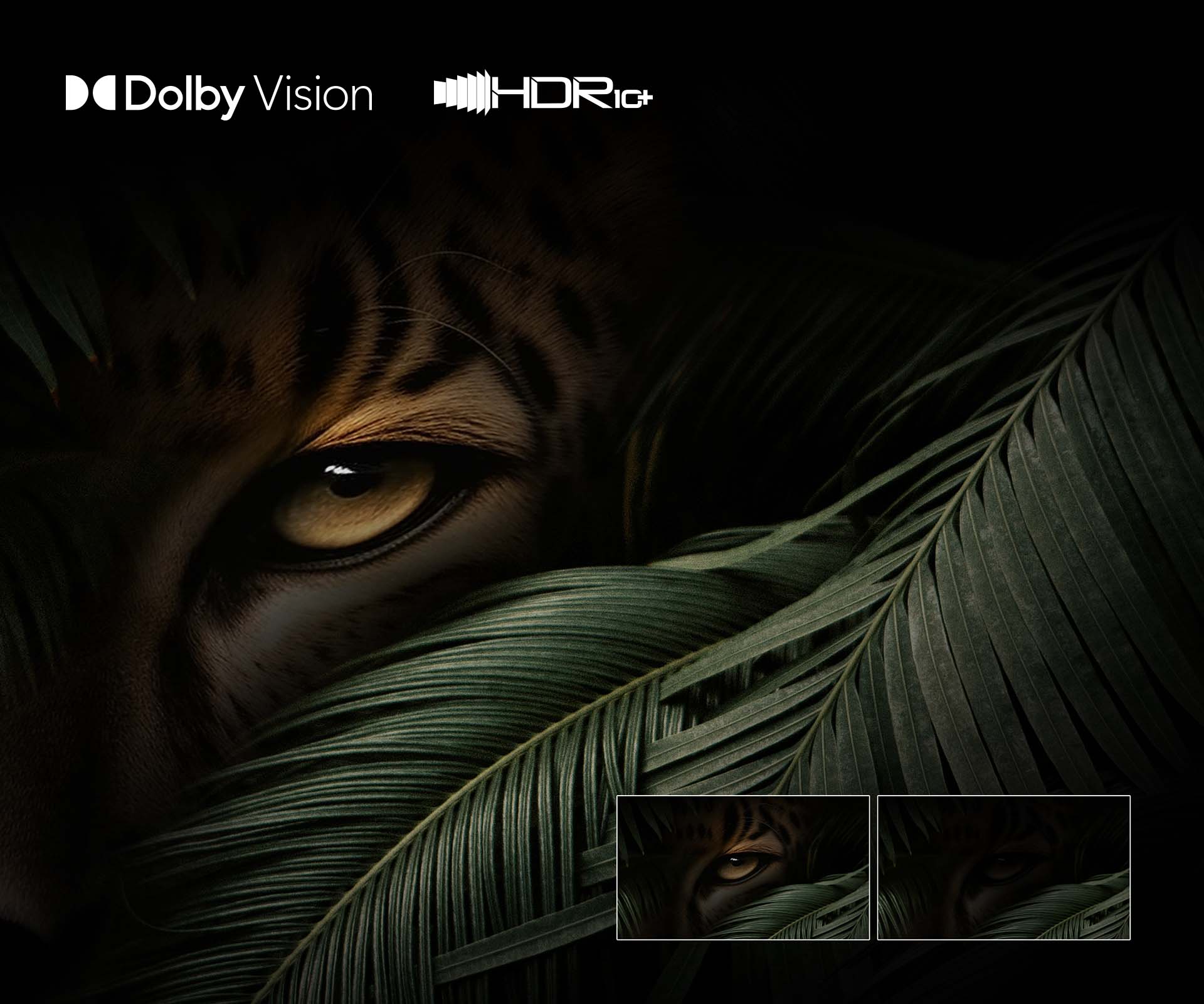 43″ 4K QLED Smart TV Series Q6NAU 43″ 4K QLED Smart TV Series Q6NAU