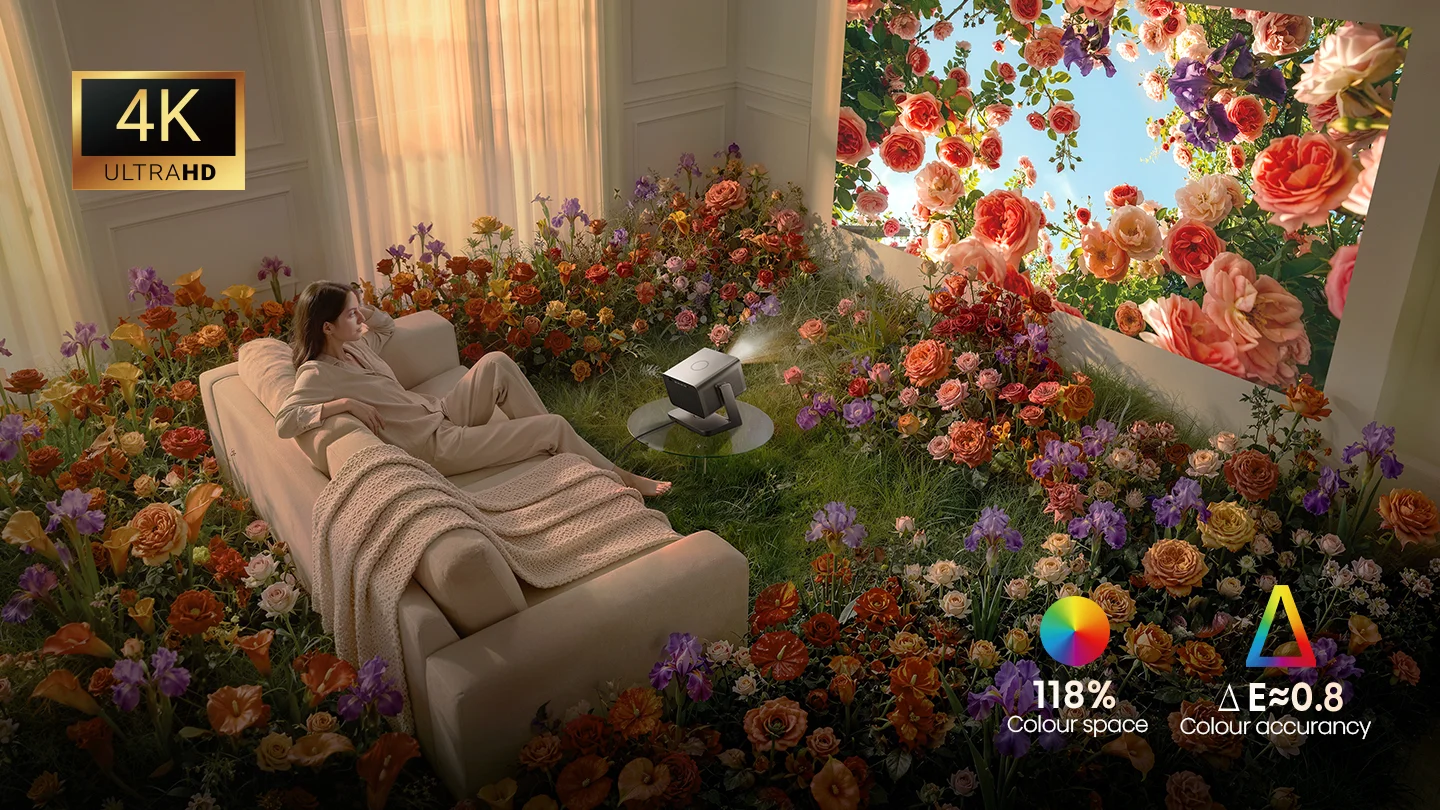 undefined undefined