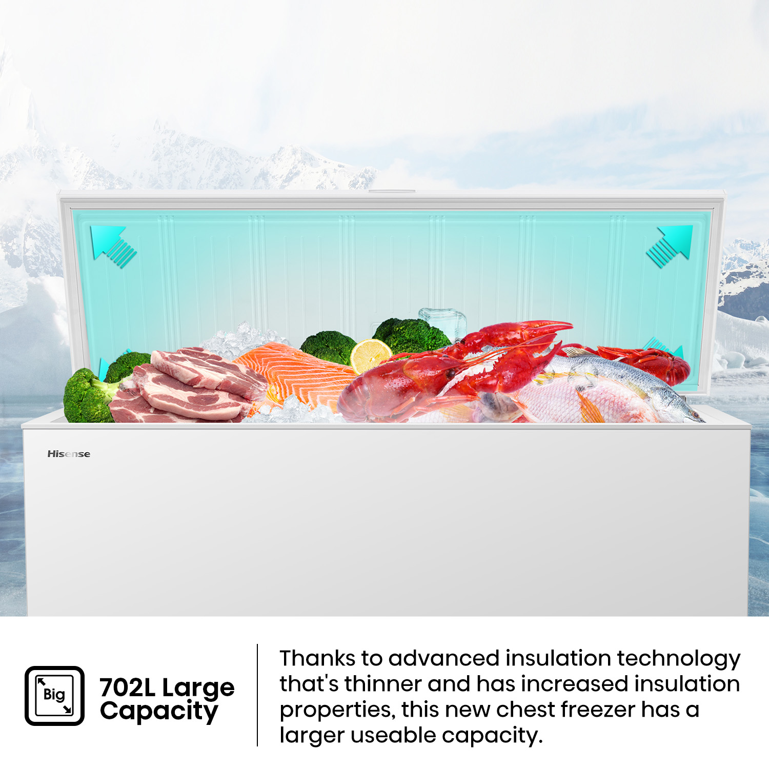 702L Chest Freezer 702L Chest Freezer