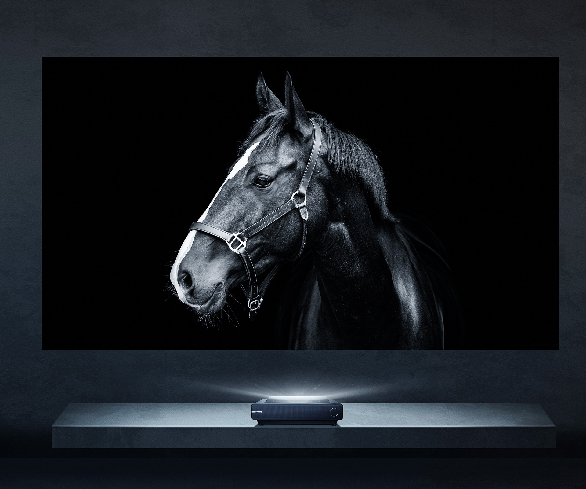 90″~130″ TriChroma Laser Cinema Series PX2-PRO 90″~130″ TriChroma Laser Cinema Series PX2-PRO